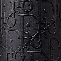 Leather Dior Oblique