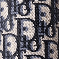 Canvas Dior Oblique